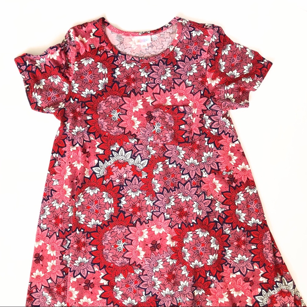LulaRoe Xs Carly